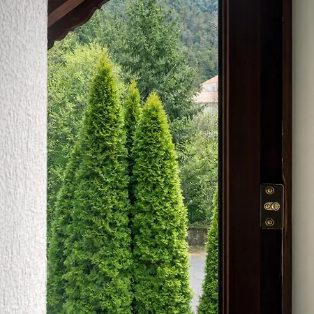 Hotel Classic Brasov